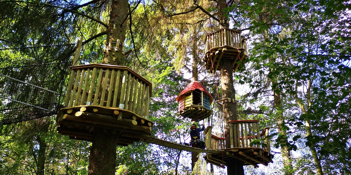 Tree house aerial village construction